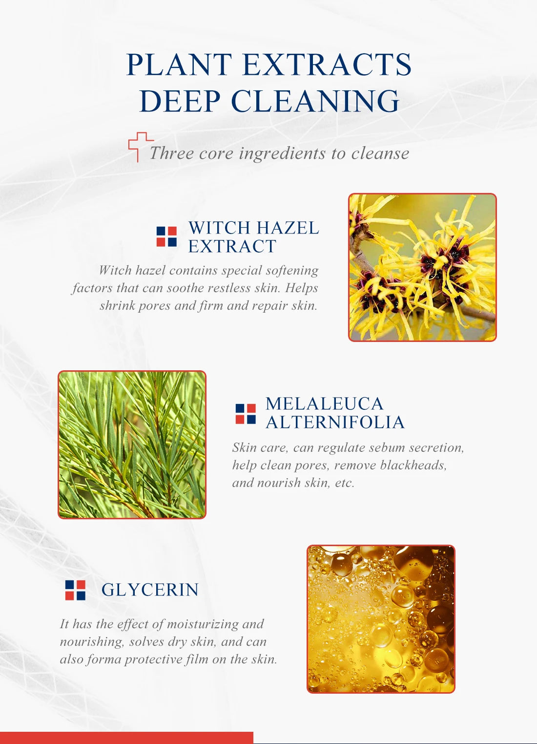Green Tea Deep Pore Cleansing Mask